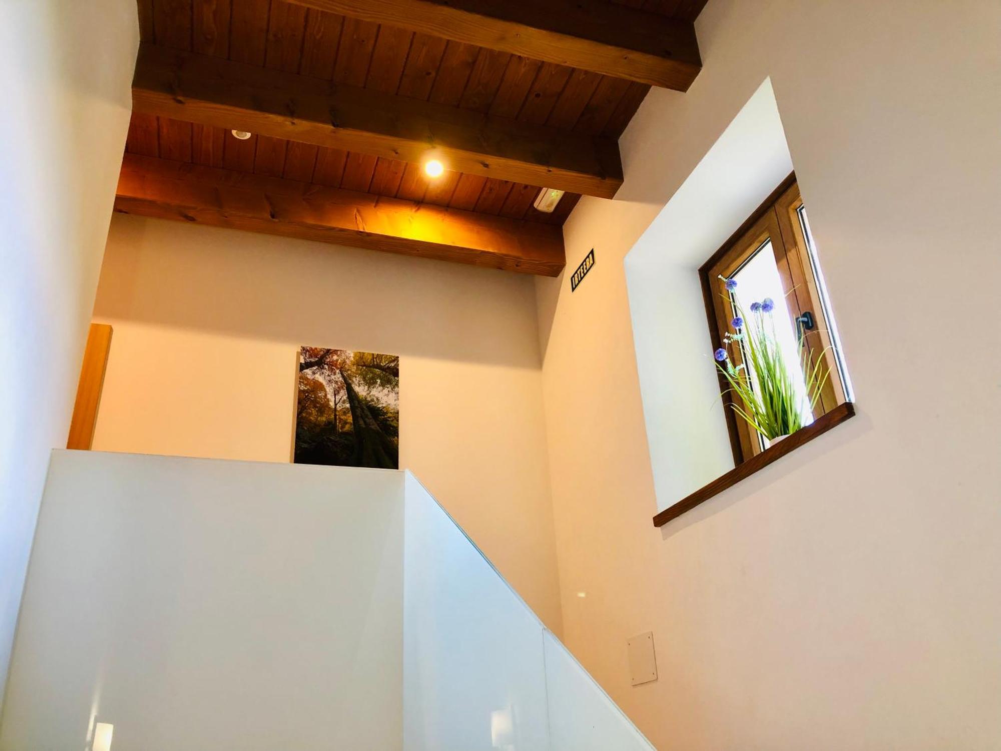 Apartamentos Zabalarena Basoa ออร์ไบเซตา ภายนอก รูปภาพ